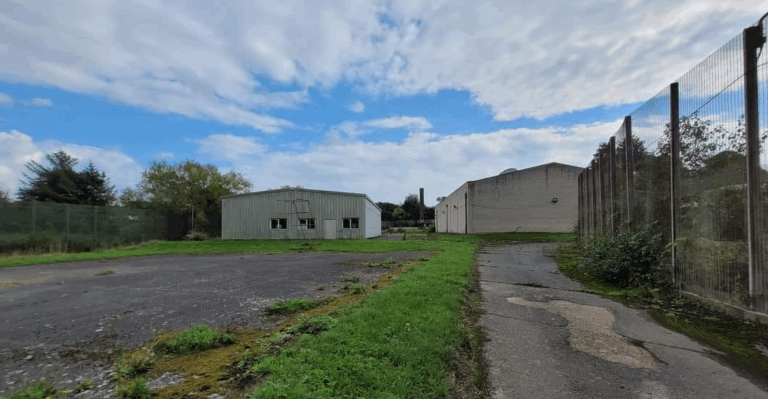 image 2025 11 20 001059536 768x399