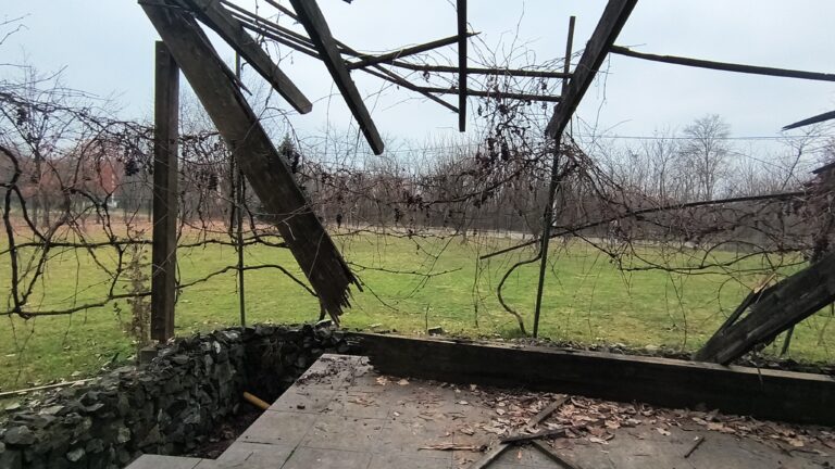 1000002933 768 x 432