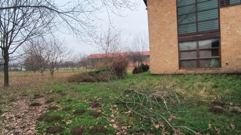 1000002935 768 x 432