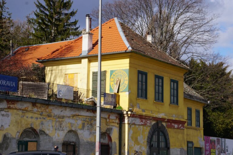 1000061043 768 x 513