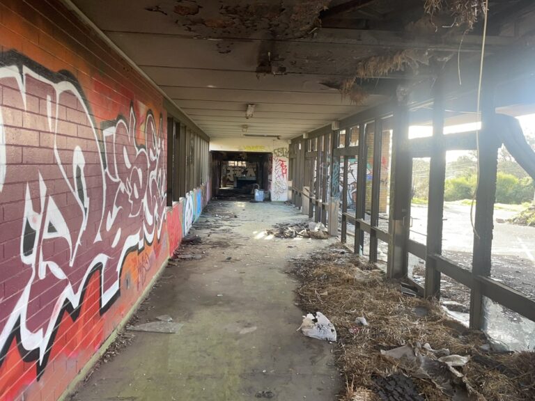 44B3DA35 36FA 4C70 BCFB C0C51BC2E357 1 105 c 1 768x576