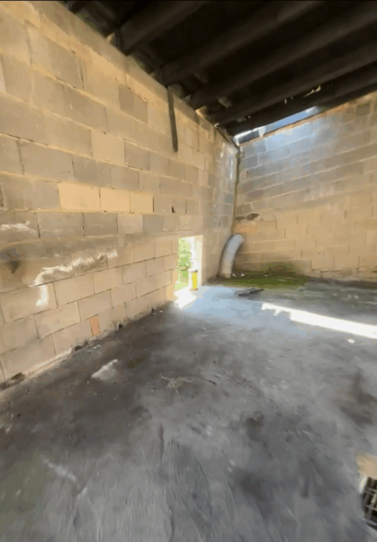 Bild 2025 12 28 141430942 768x1103