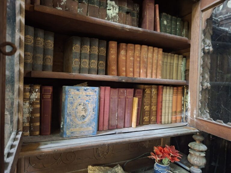 IMG 20250823 WA0013 768x576