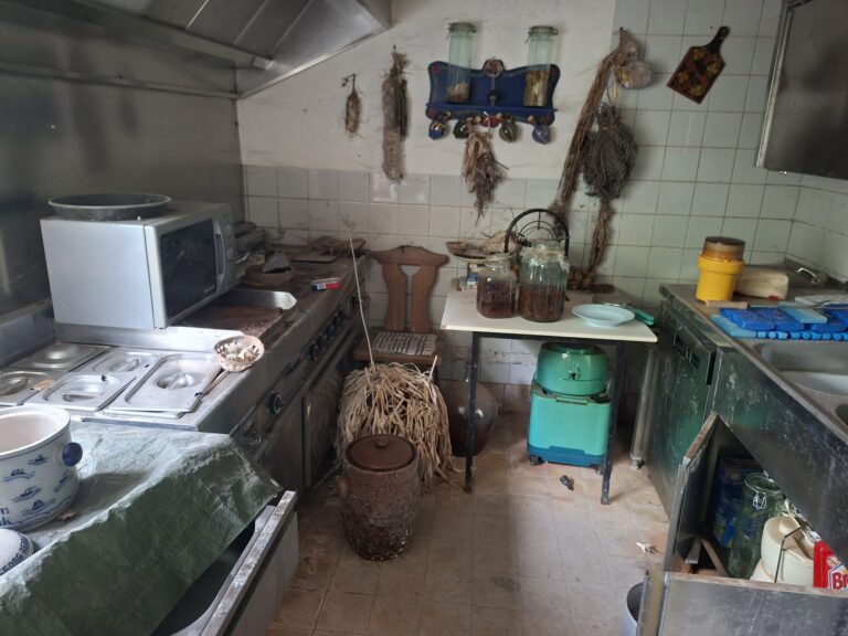 IMG 20250823 WA0016 768x576