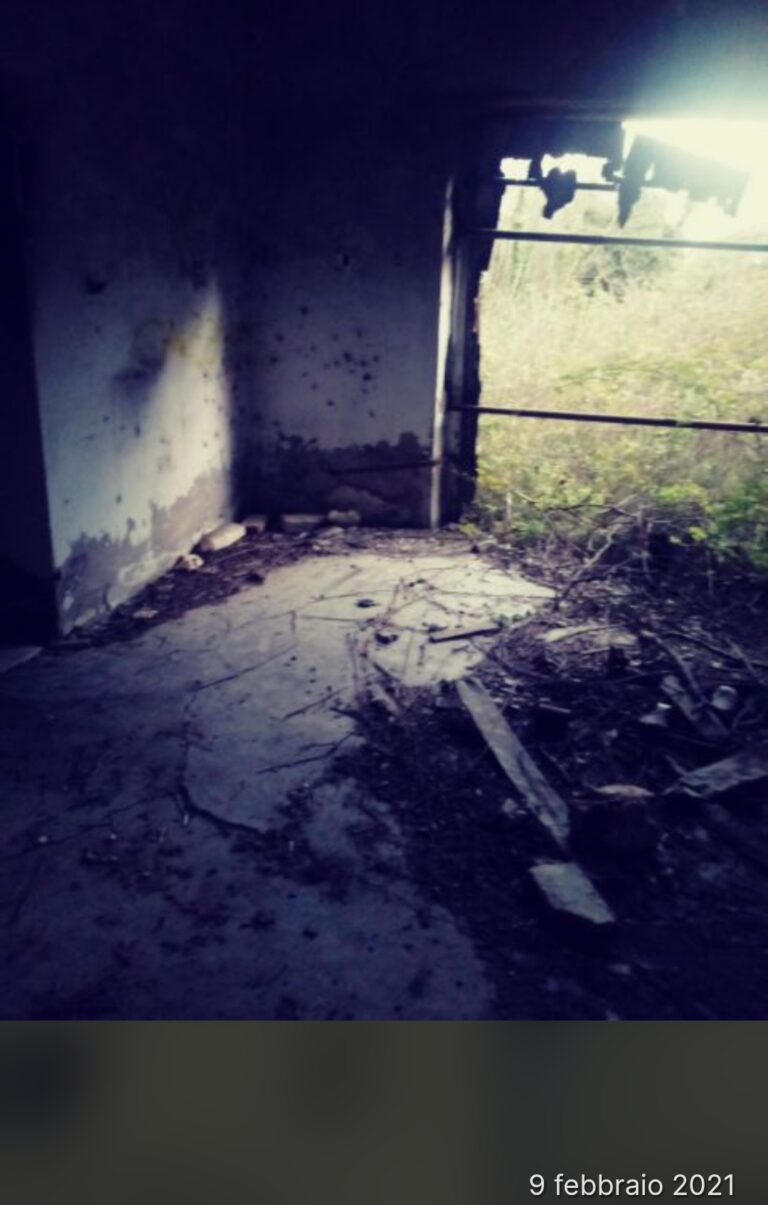 Screenshot 20251227 015901 Chrome 768x1205