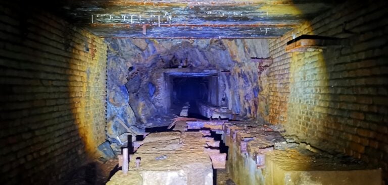 1000255834 768 x 367