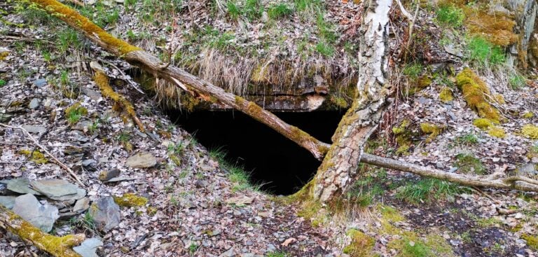 1000255835 768 x 367