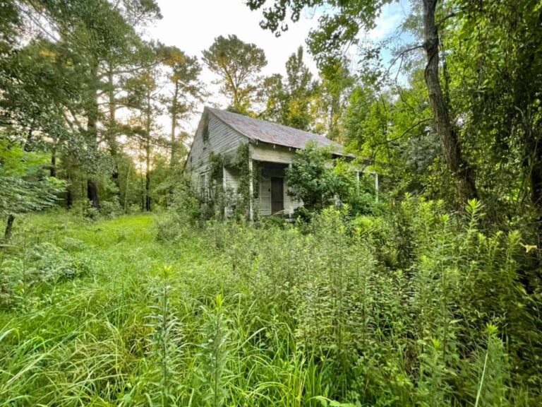 Abandoned House 2 206743135 10222742697189129 7094071423127820609 n 768x576
