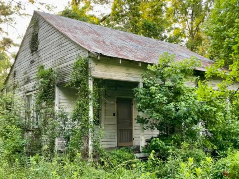 Abandoned House 1 206922281 10222742697389134 4526681527510734802 n 768x576
