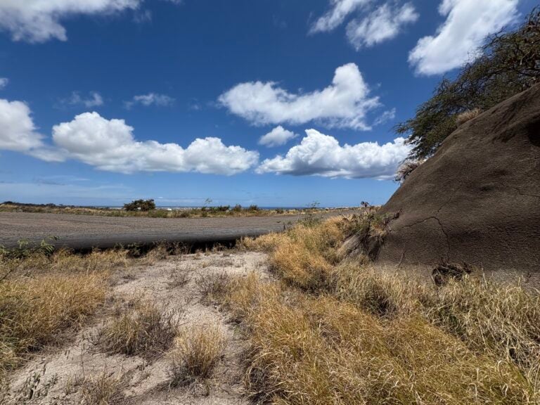 Battery Arizona 9 IMG 0164 768x576
