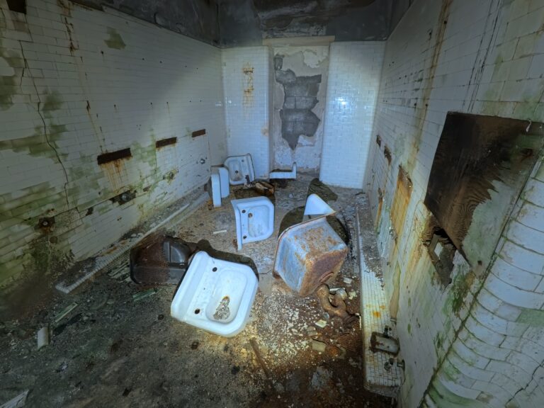 IMG 20260120 161500 091 768x576