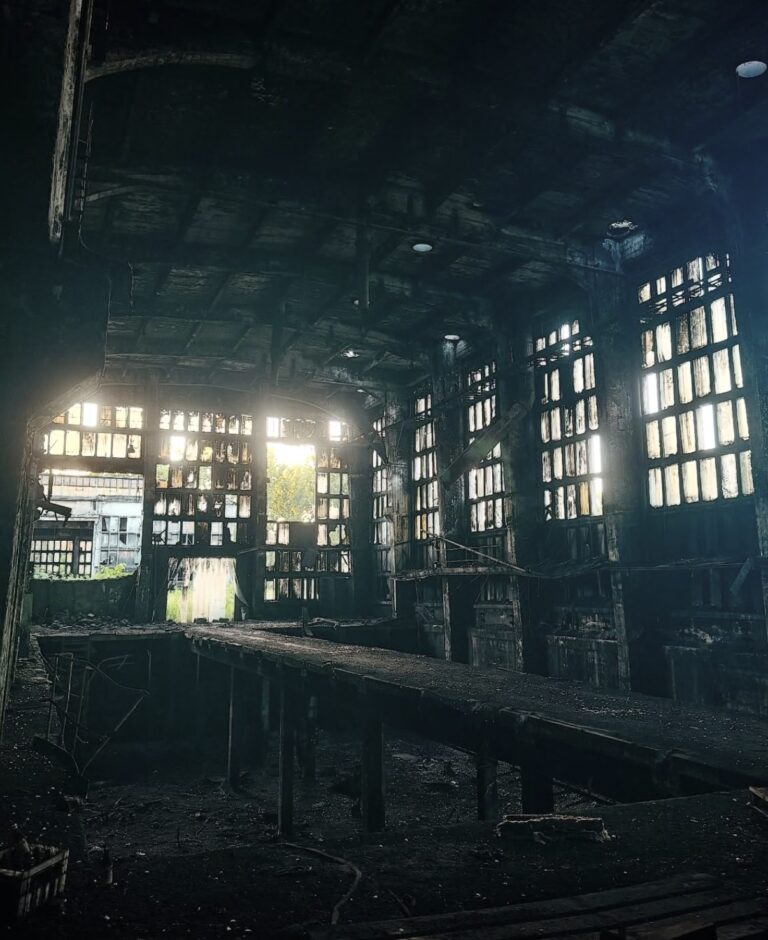 Fsc factory 5 IMG 5948 768x940