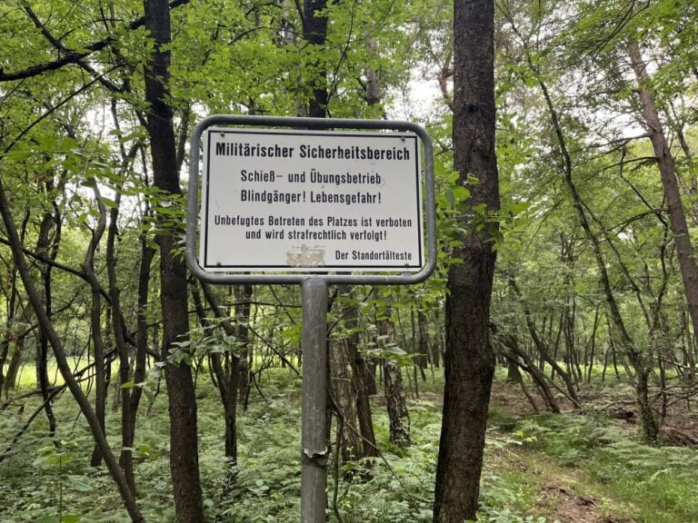 IMG 6563 1750788997 3dbfedc096 768x576