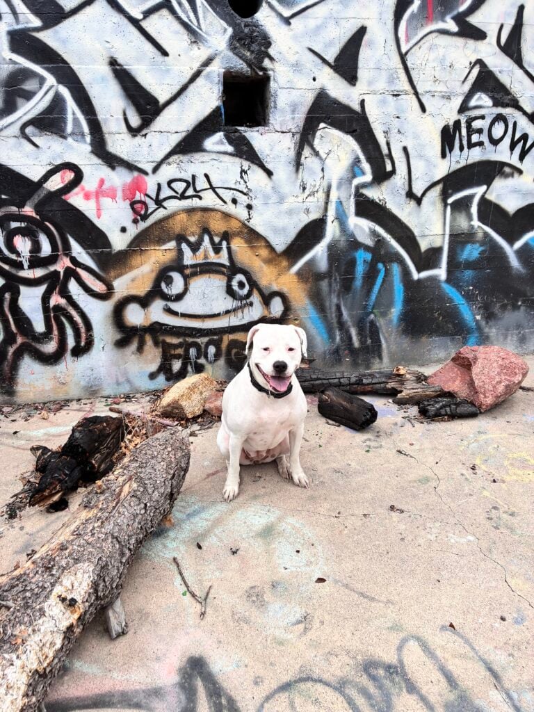 Stone structure 1 IMG 8465 768x1024