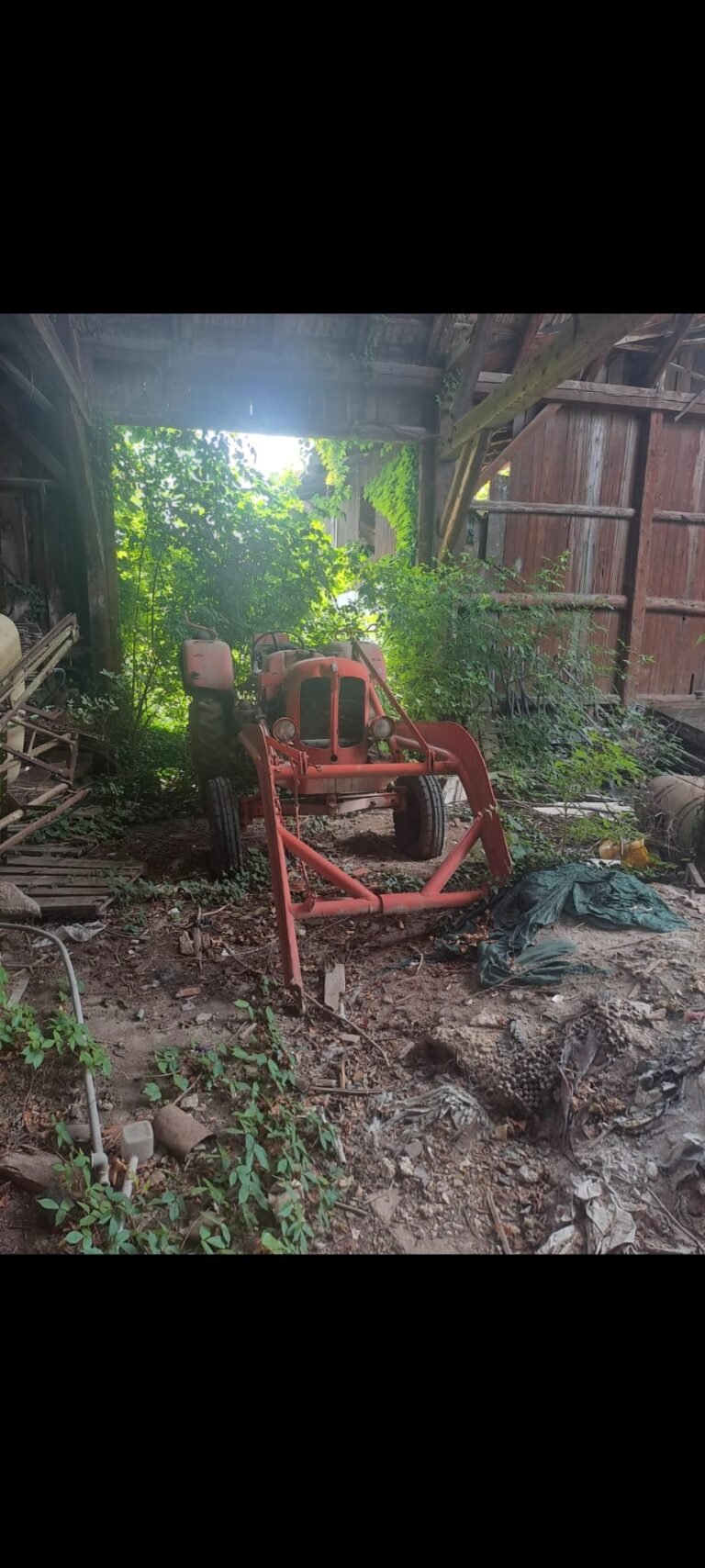 WhatsApp-Bild 2026 01 04 um 14:50:55 Uhr 1 768 x 1708