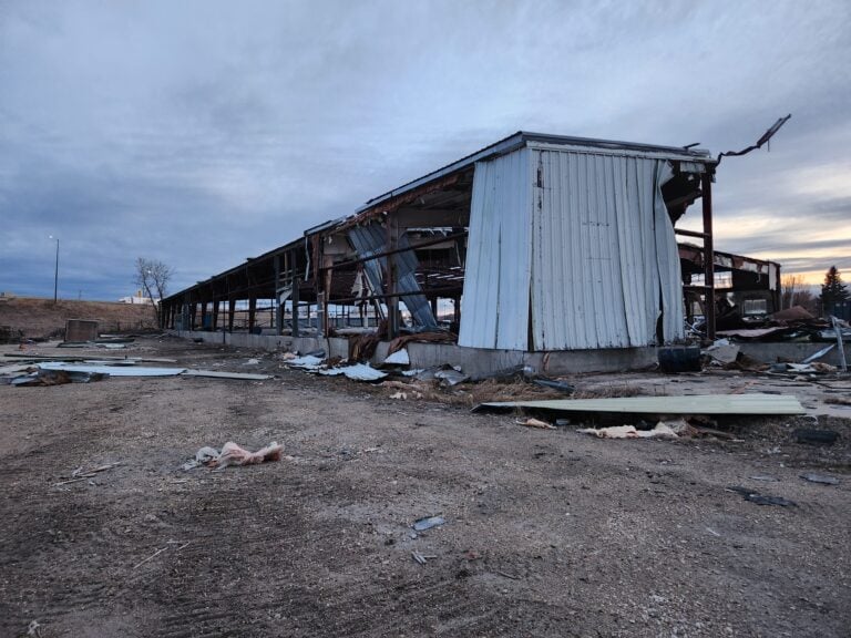 20250417 203755 768x576