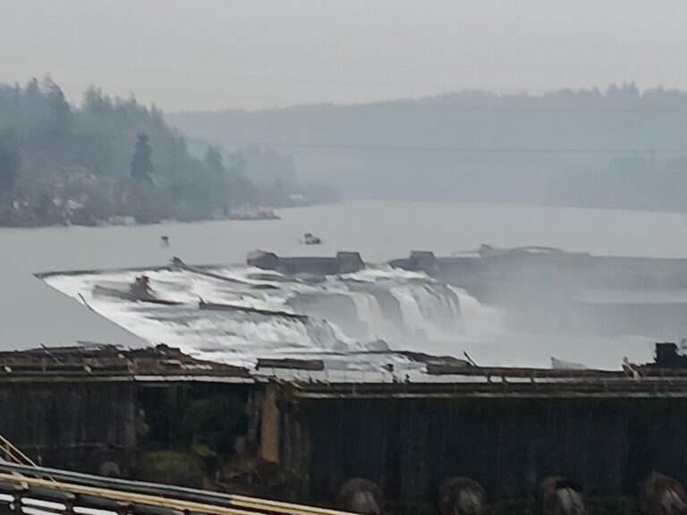 20260207 131720 2048x1536 1 768x576