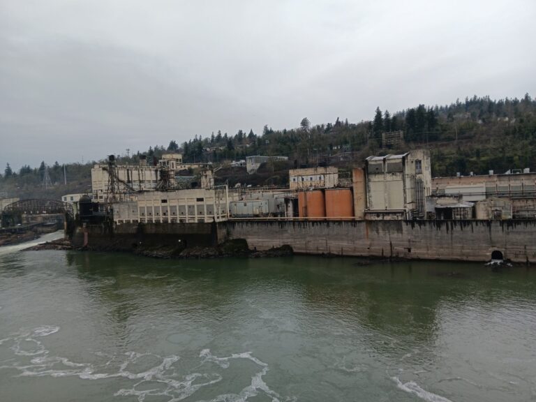 20260207 134823 2048x1536 1 768x576