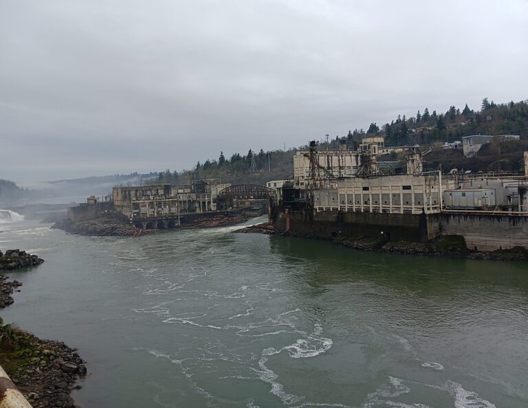 20260207 134936 2048x1584 1 768x594