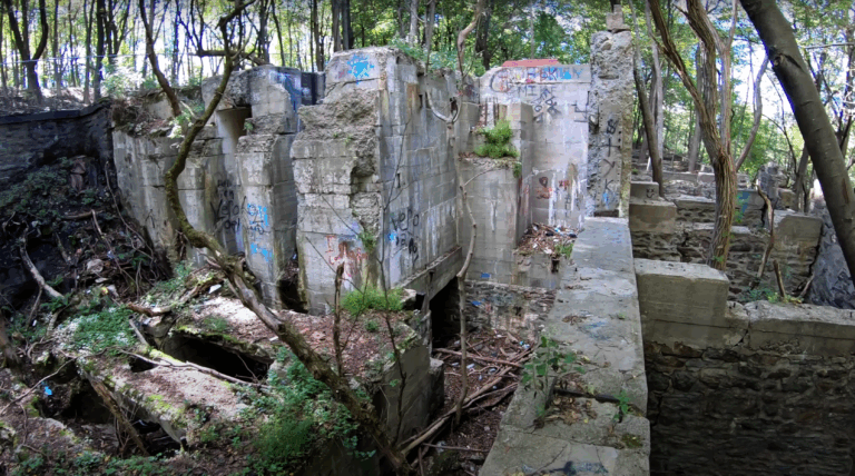 65ii1mlfoms71 768x428