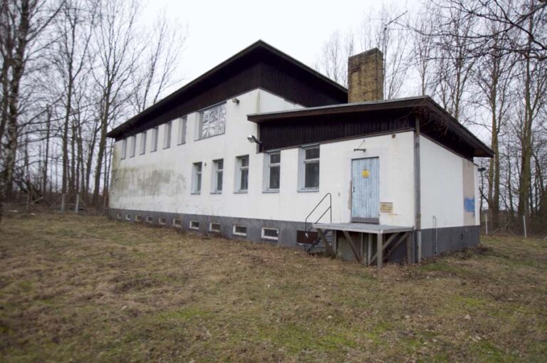 Small water plant 17 stacks image 2bd2766 1 768x510