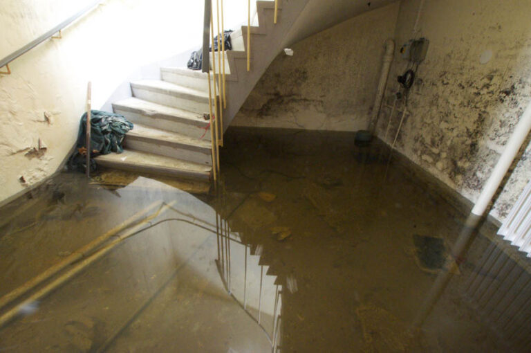 Small water plant 16 stacks image 38c006d 1 768x510