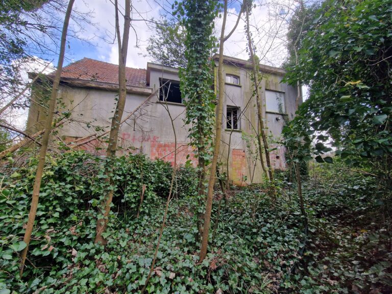 20260325 140546 768x576