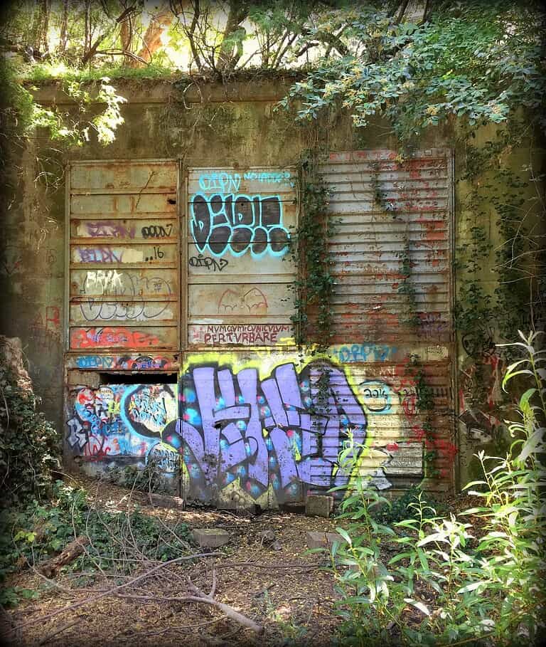 NorthEntrance 768x910