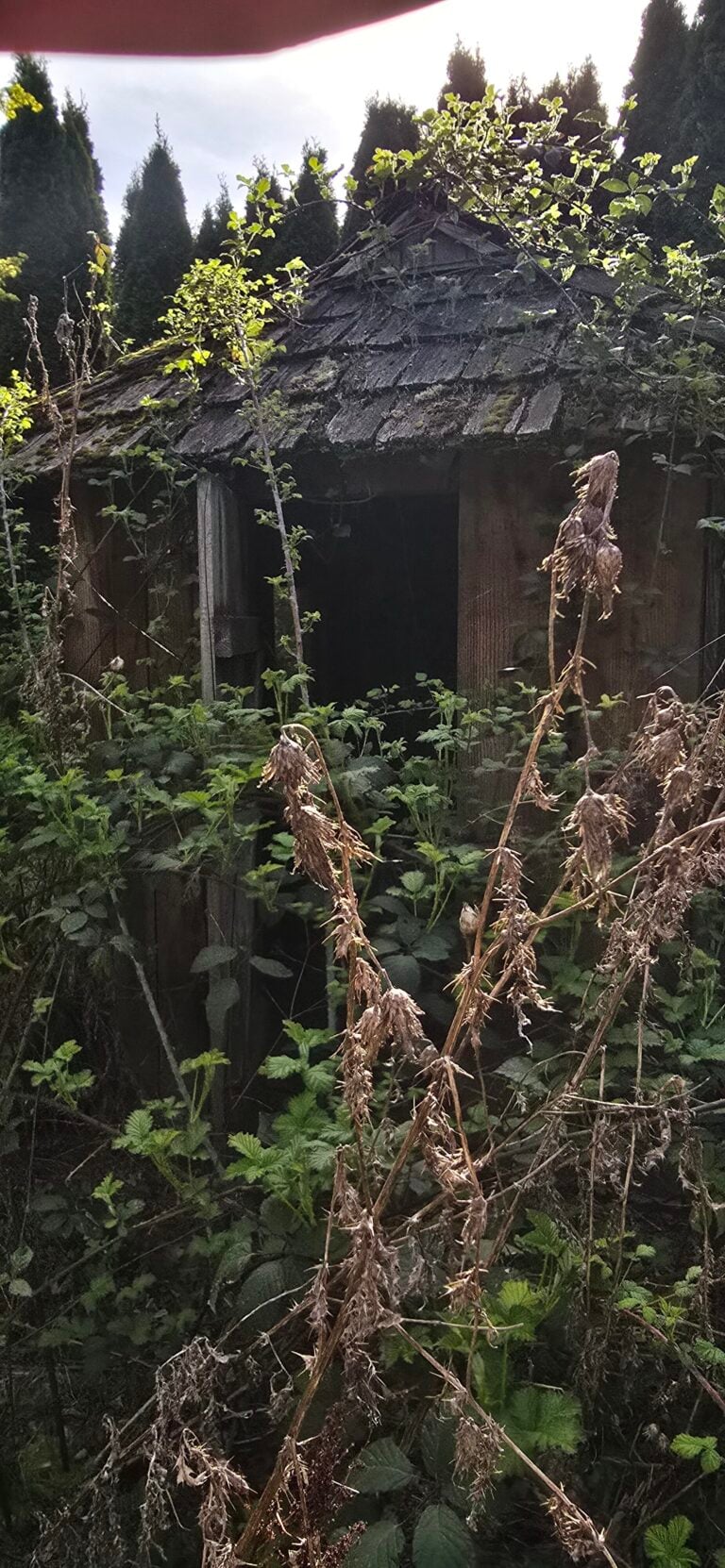 Chicken farm/store 1 6396 768x1662