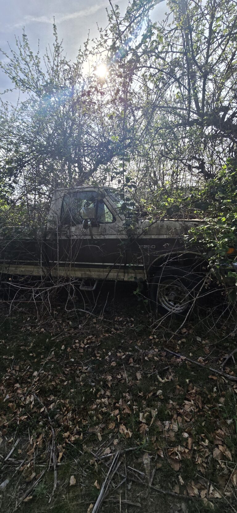 Chicken farm/store 2 6398 768x1662