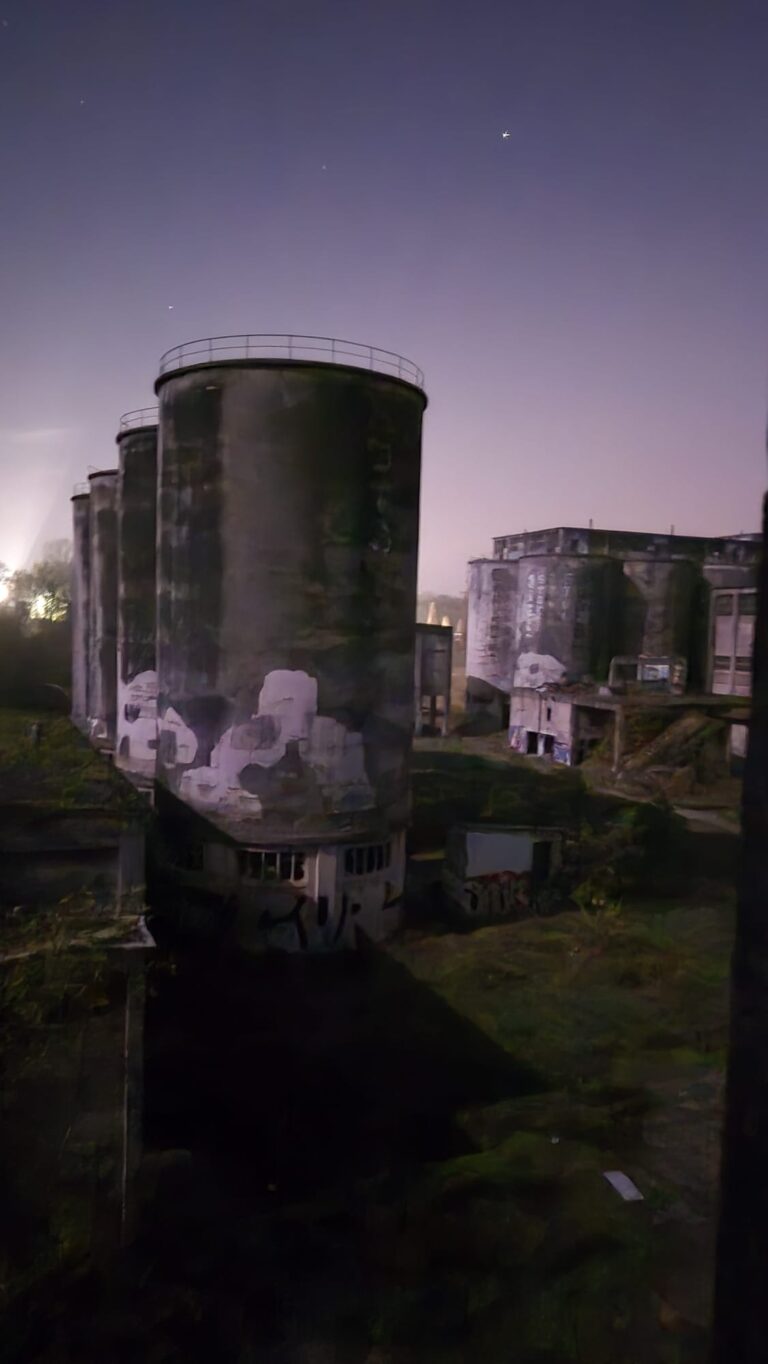 IMG 20251109 WA0034 768x1364