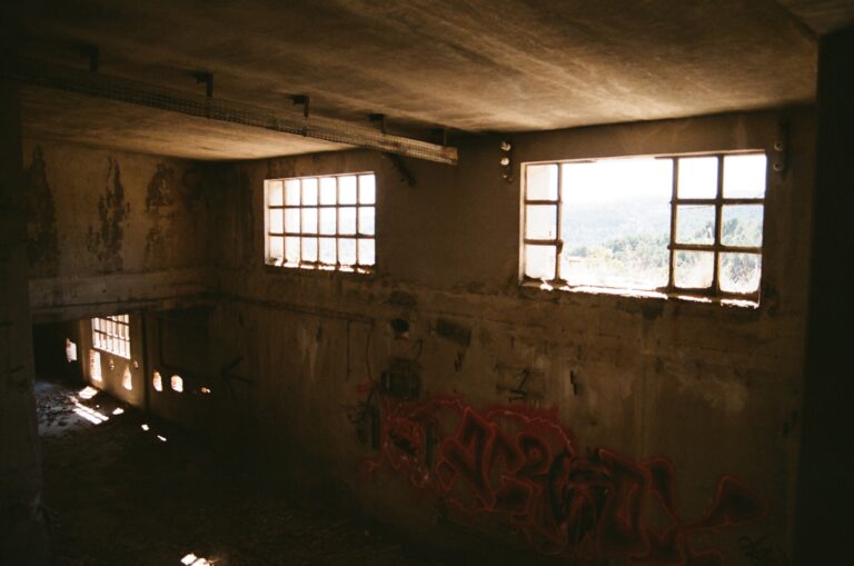 54520032 768x509