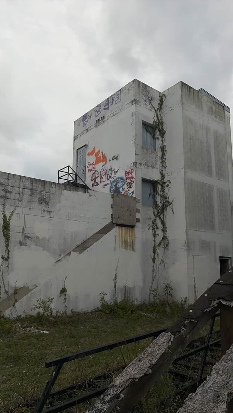 IMG 0524 768x1365