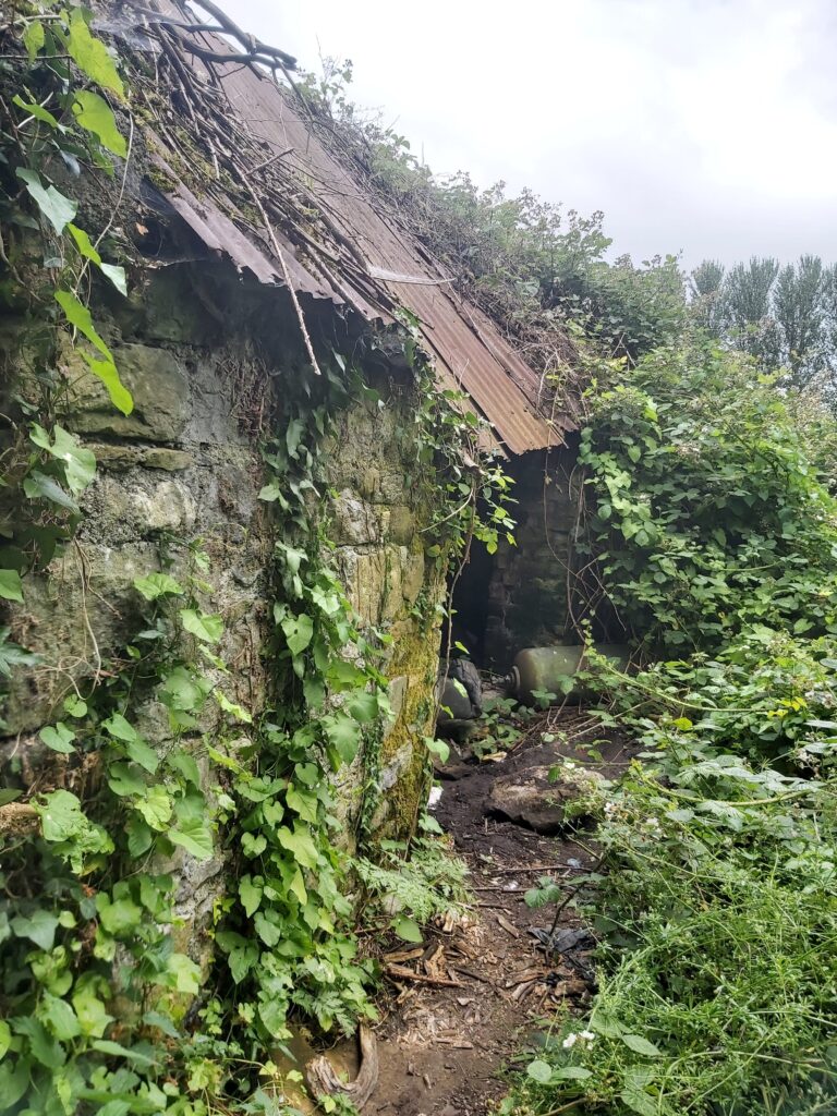 Verlassenes Haus und Fahrzeuge 4 20260704 174035 768x1024