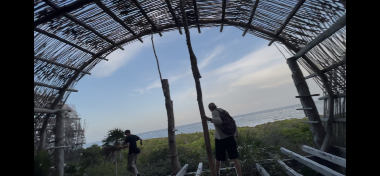 IMG 3069 768x355