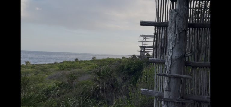 IMG 3070 768x355