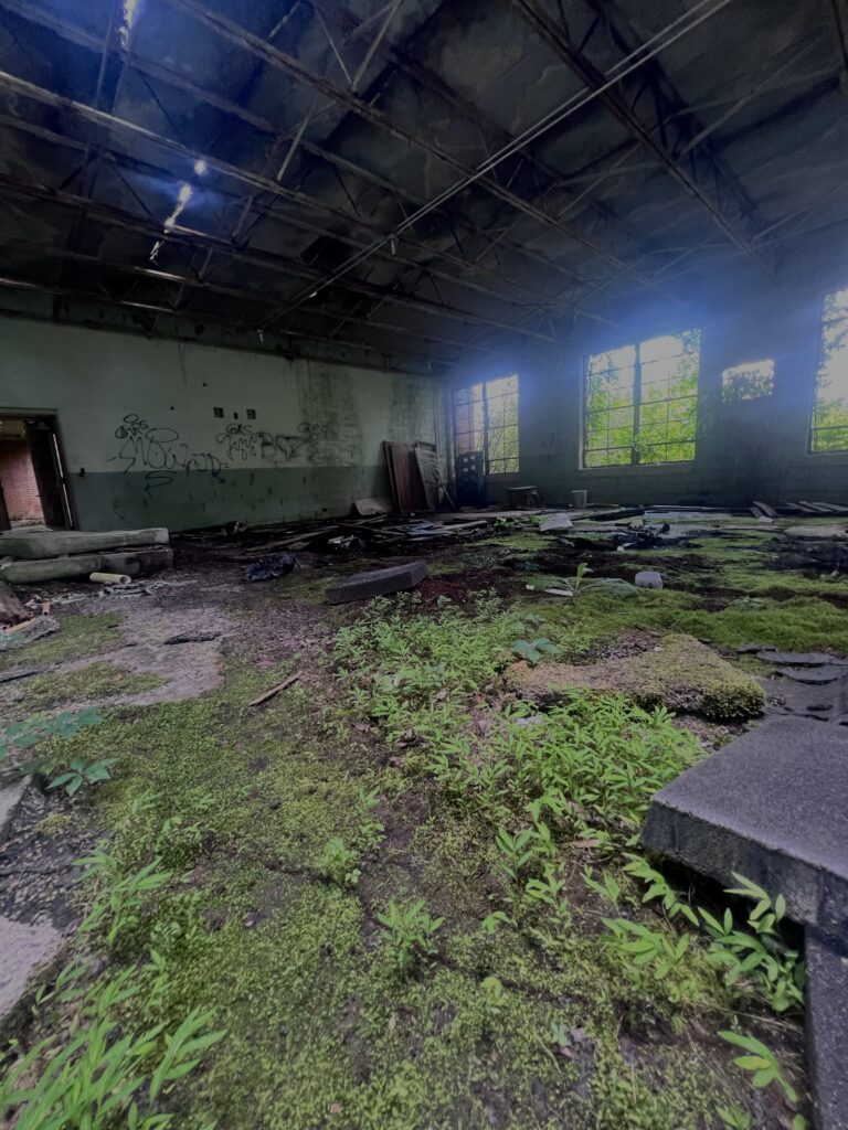 Alte Cedar Springs-Schule 5 Foto 1 768×1024
