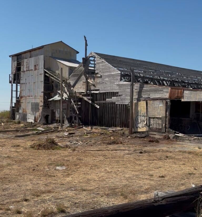 Bando shack 1 IMG 0921 768x826