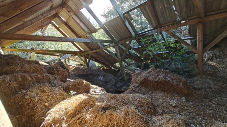 An abandoned farm house 5 122 2 768x432