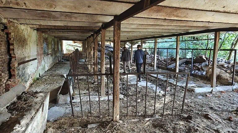 An abandoned farm house 4 212 2 768x432
