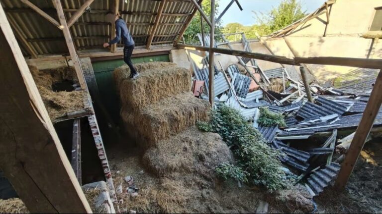 An abandoned farm house 2 3123 2 768x432