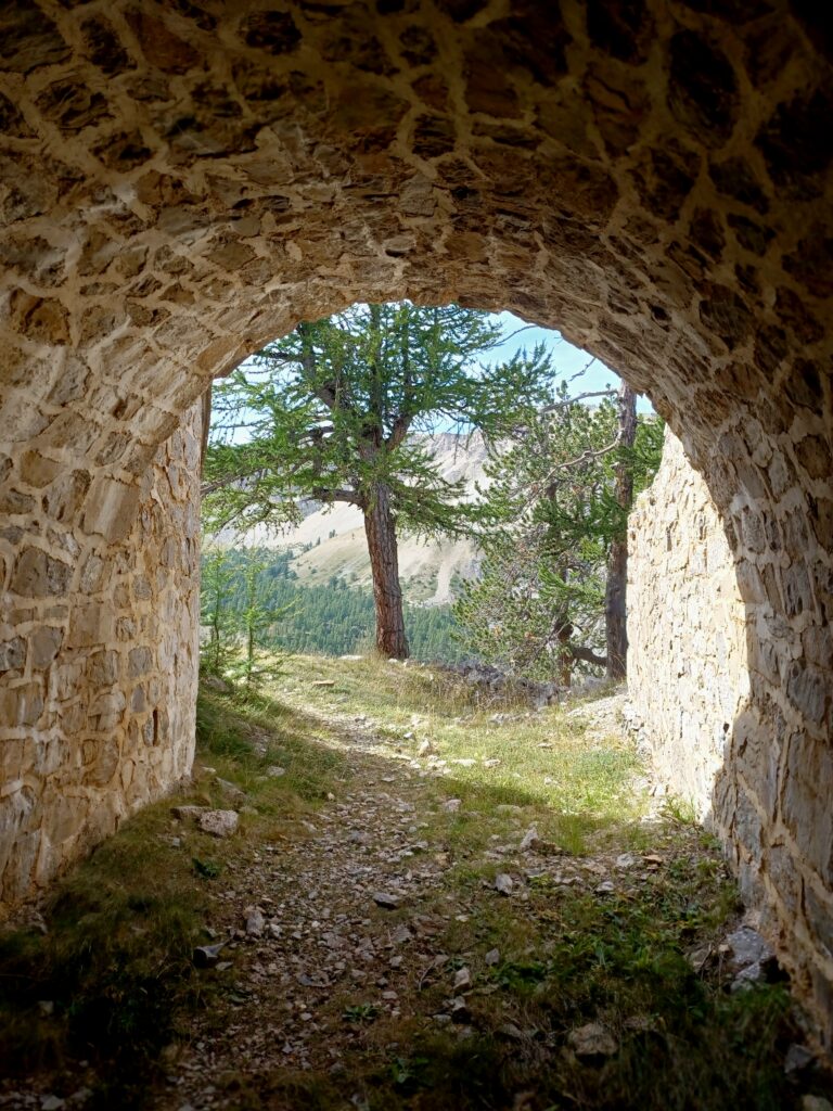 Fort de l'olive 9 1000047096 768x1024