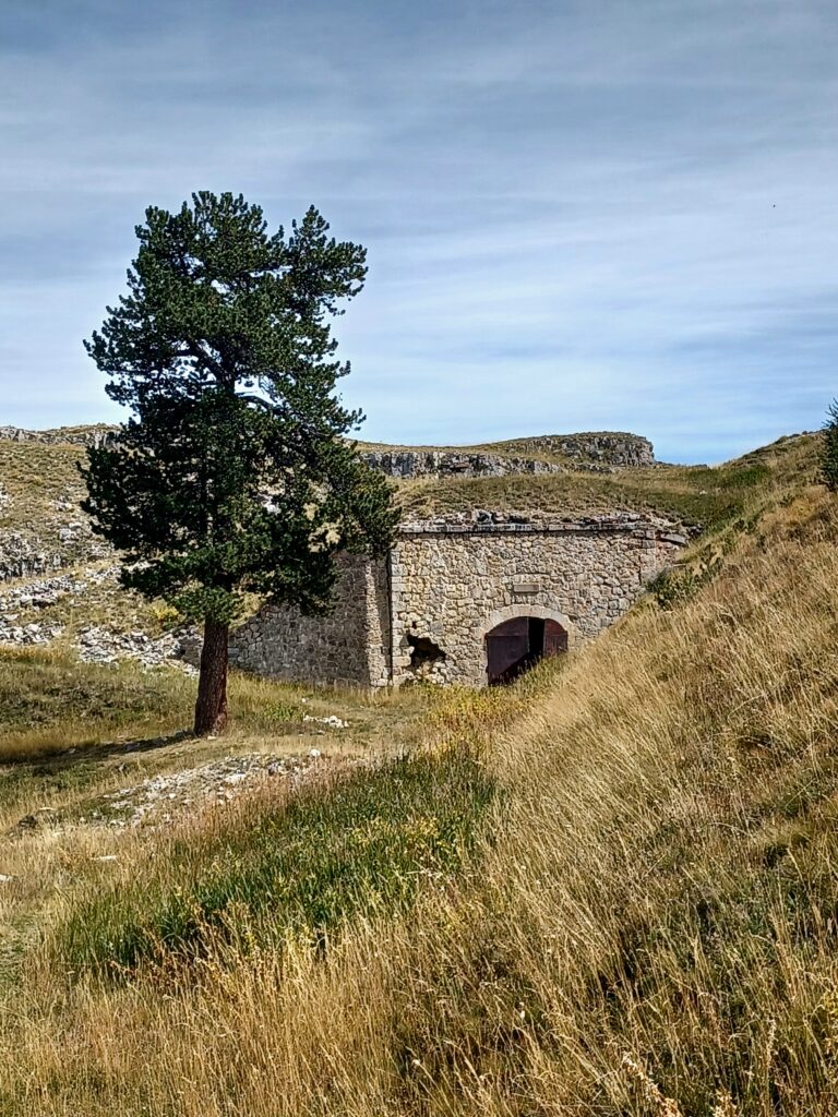 Fort de l'olive 17 1000047134 768x1024