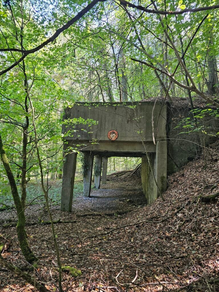 Old Quarry in Wommelshausen 2 20260915 132838 768x1024