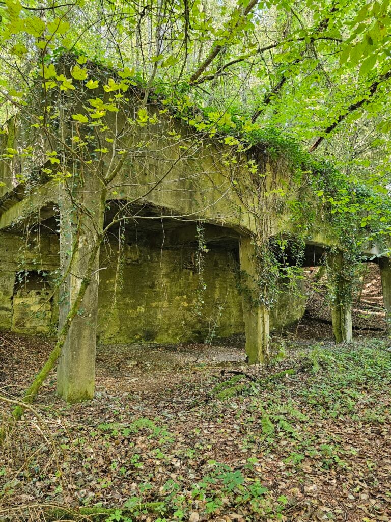 Old Quarry in Wommelshausen 3 20260915 133124 768x1024