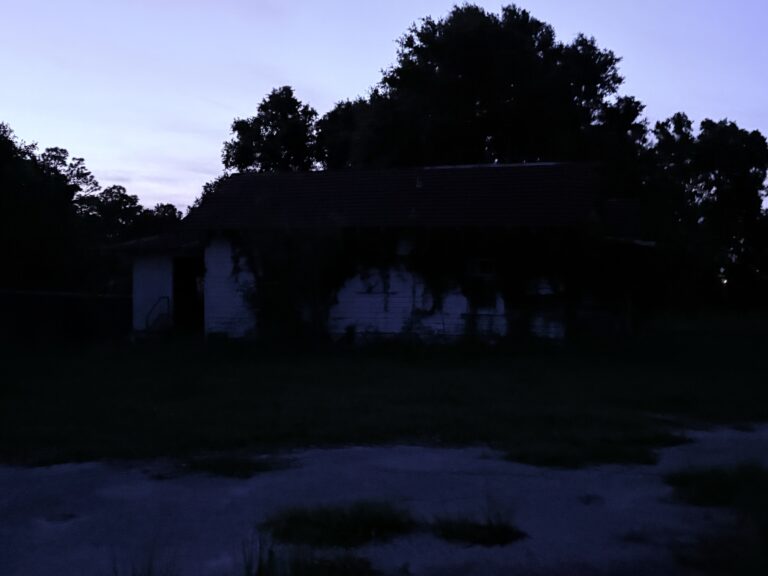 IMG 7777 768x576
