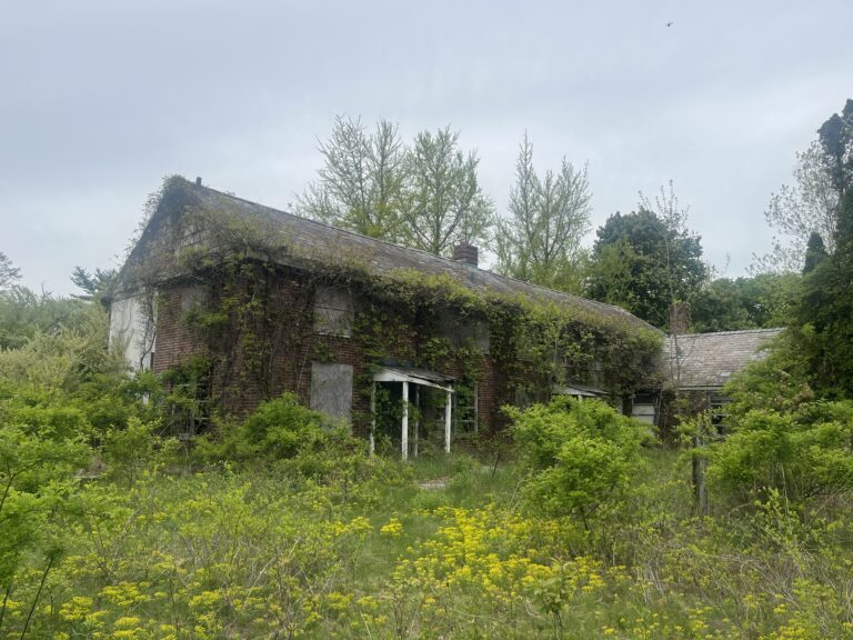 Abandoned Houses 4 IMG 9078 768x576