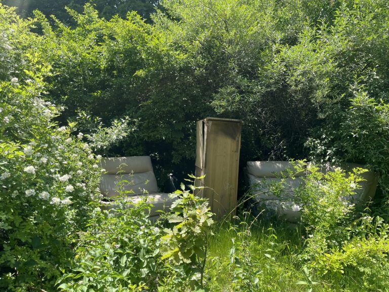 Abandoned Houses 16 IMG 9491 768x576