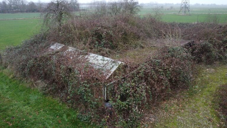 Verlassener Bauernhof 3 WhatsApp-Bild vom 09.10.2026 um 17:37:58 Uhr, 2, 768 × 432