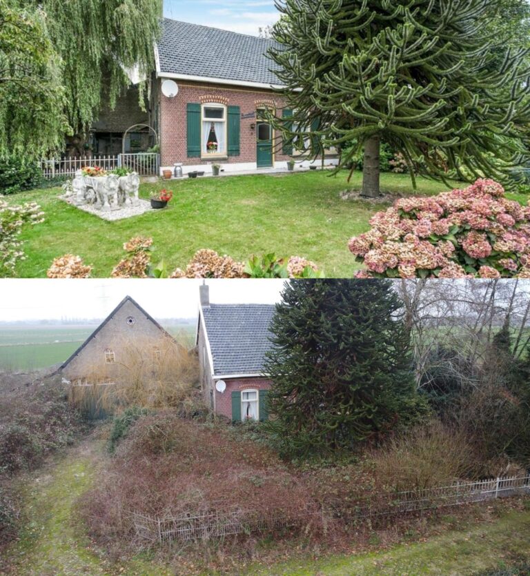 Verlassener Bauernhof 2 WhatsApp-Bild vom 09.10.2026 um 17:37:58 Uhr, 4, 768 x 835
